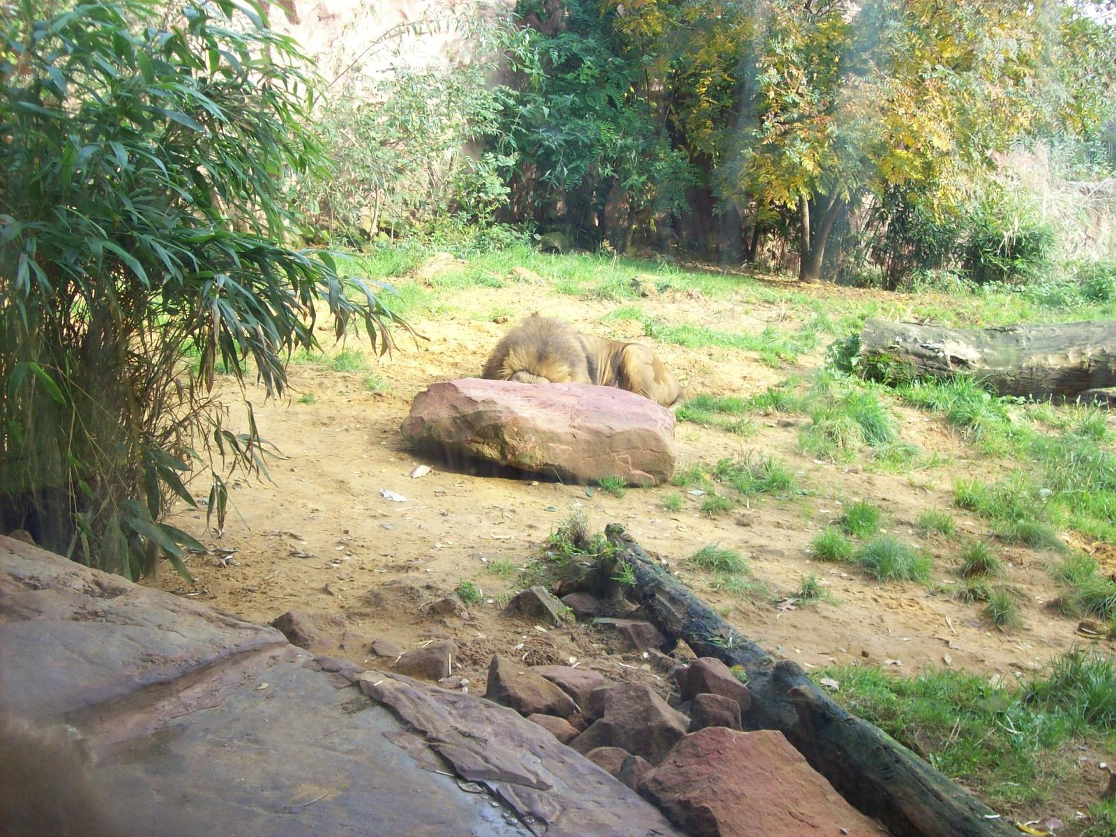 Zoom 18.10.2008-053.jpg